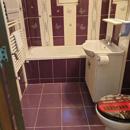 Apartament Stelian Inel 2